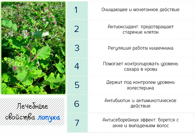 Заключение. Общие итоги. Фотография взята с Яндекс-картинок