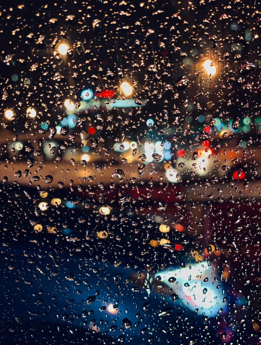 фото сделано: @georgy_zuev_photoblog