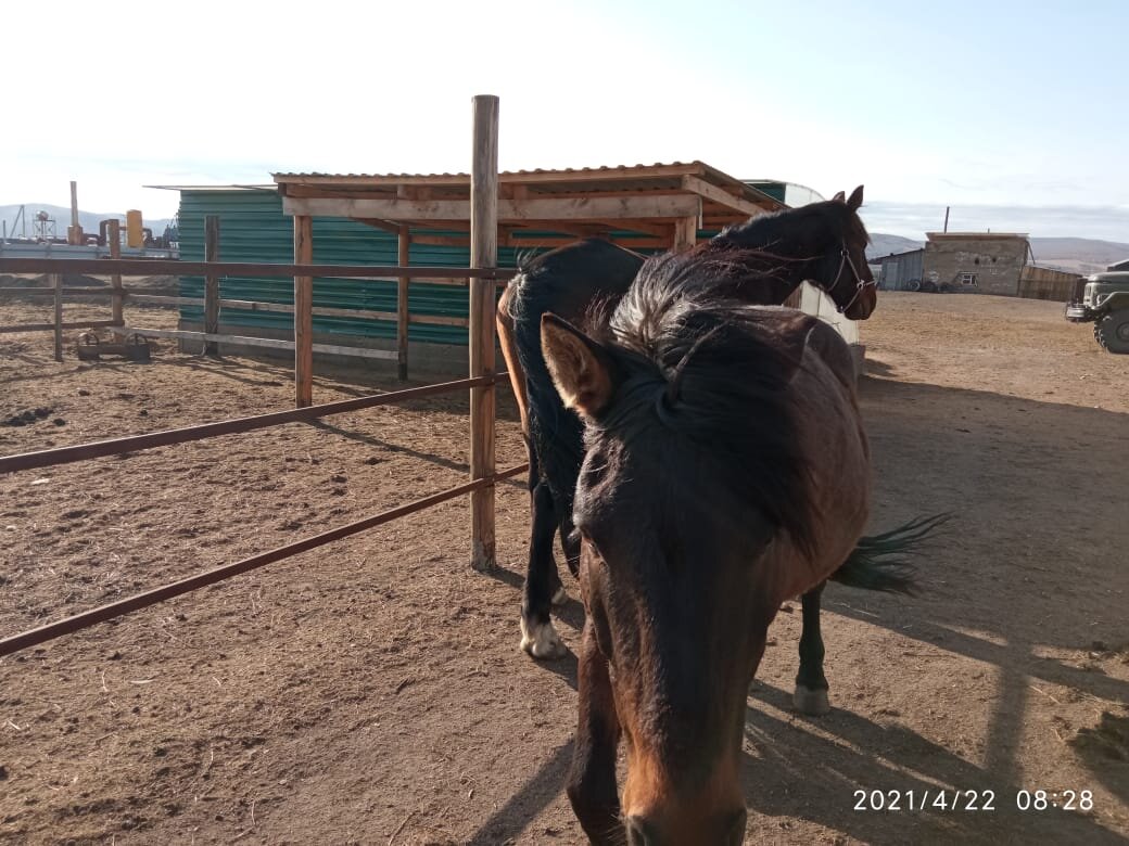 Фото автора канала Звон небес