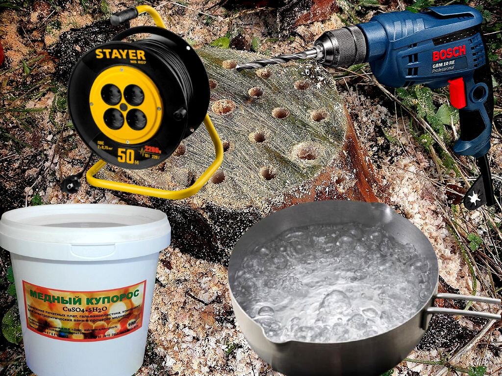 авторское фото Гор Багдасарян