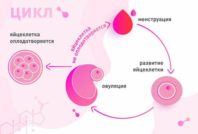 Причины отсутствия овуляции