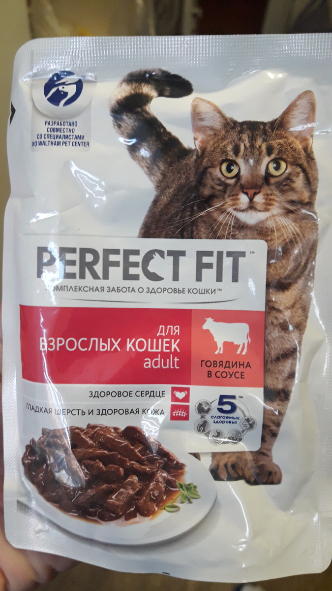 Вкусняшка для кота