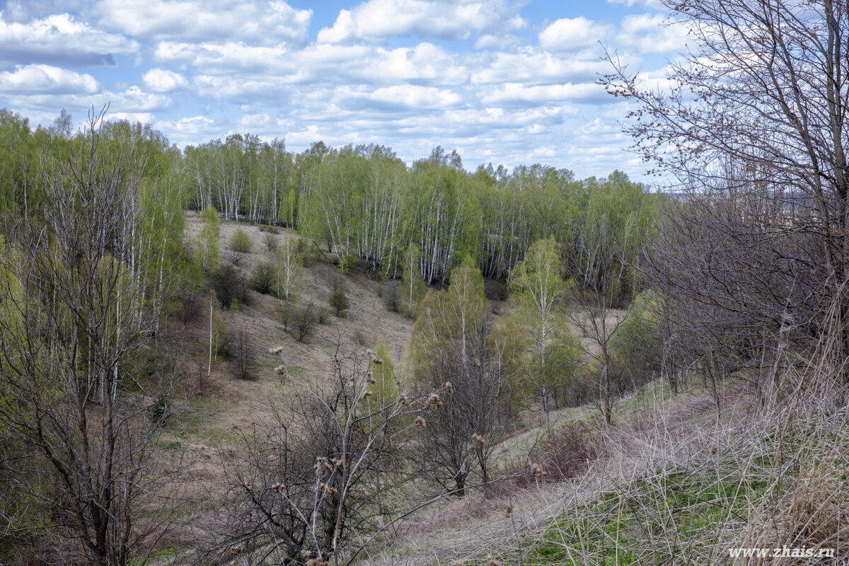 Щигровская Согра Мокроусовский район Курганская область. Река Комариха Дмитровский район. Озеро черное Курганская область Мокроусовский район. Березовская речка.