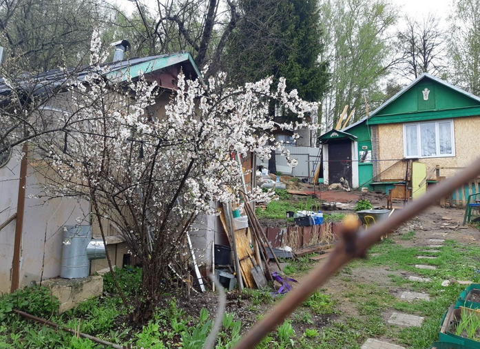 Пришла весна... пора великих строек и весенних обострений