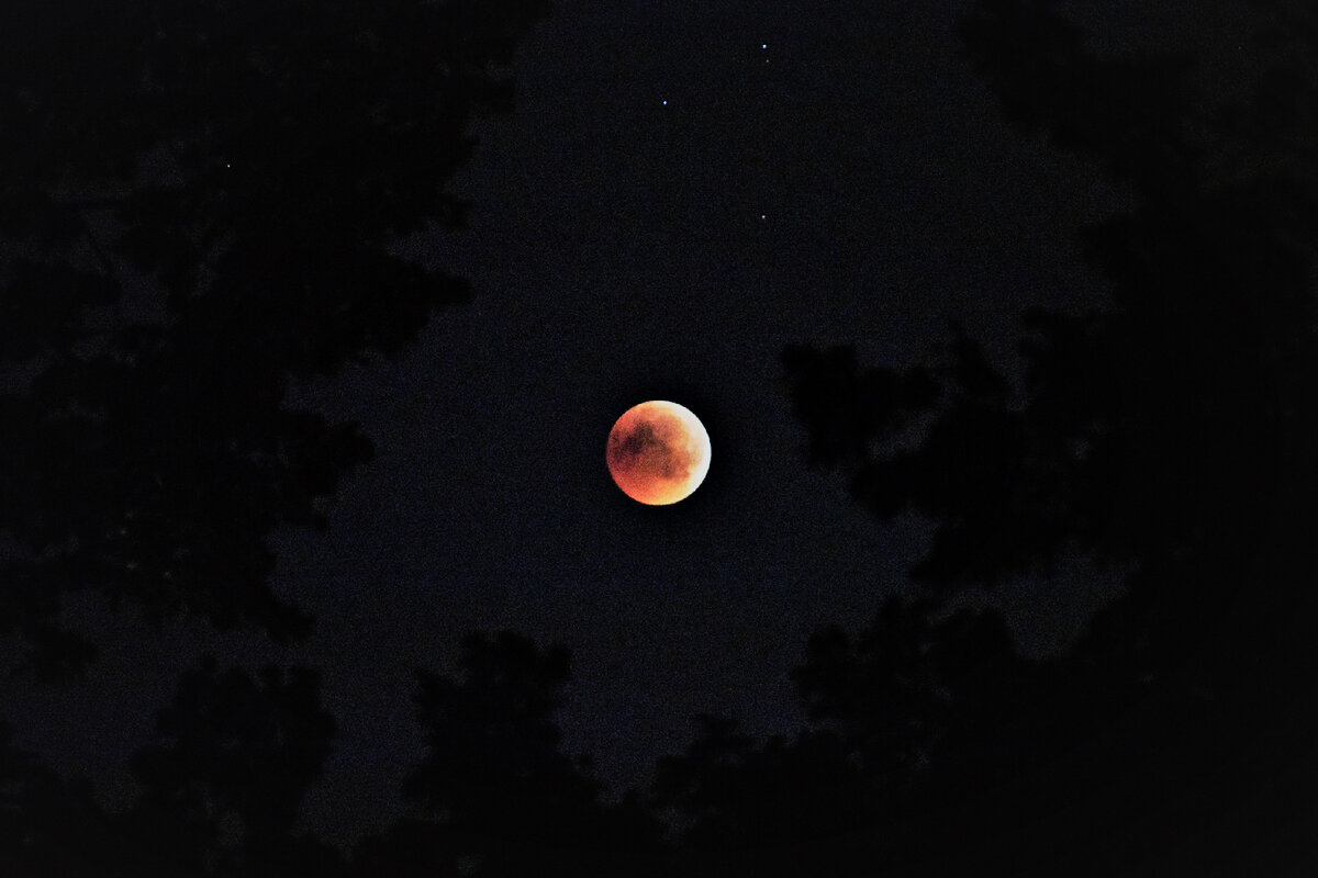 Снимок сделан в городе Яссы в Румынии
