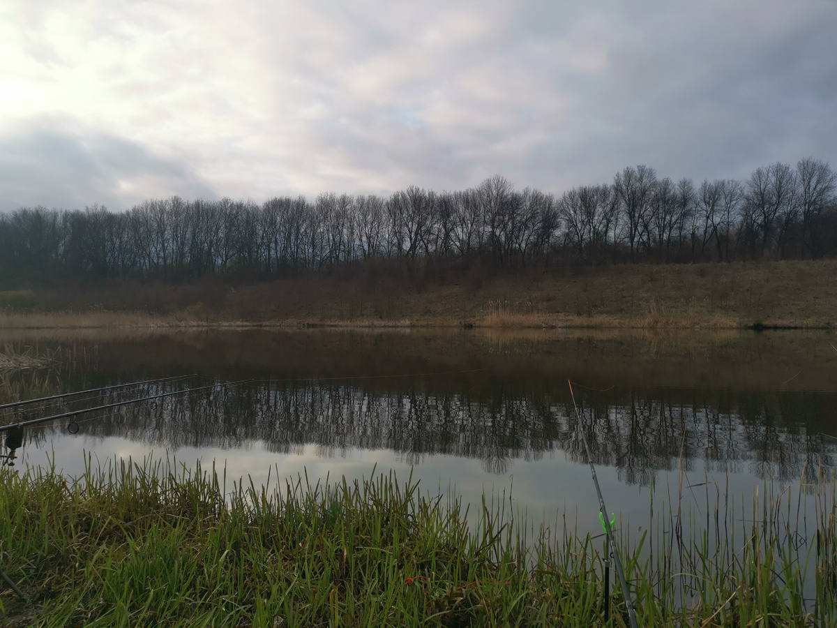 Забросился