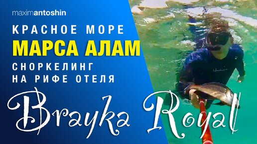 Сноркелинг в Марса Аламе (Египет) на домашнем сайте отеля Brayka Royal