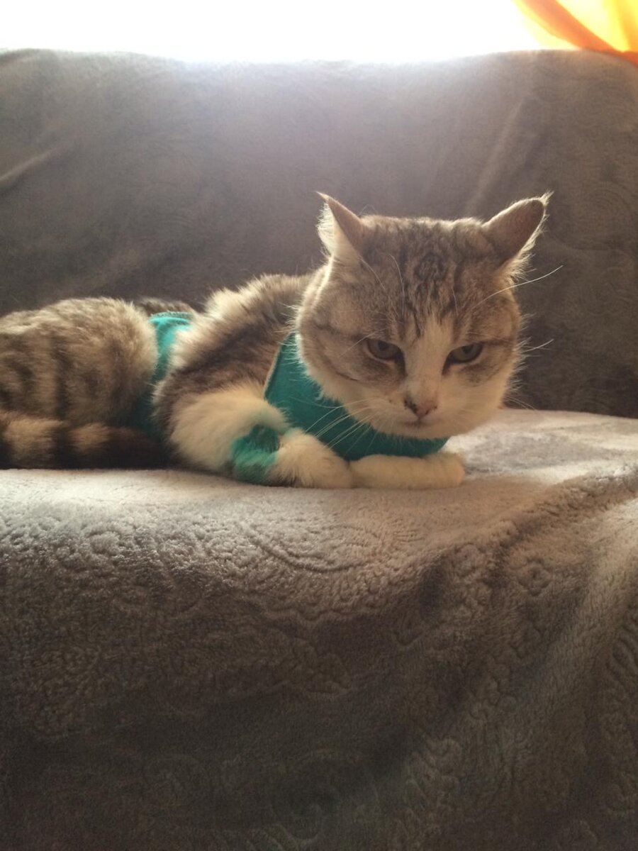 Леля ждет любящих ее людей