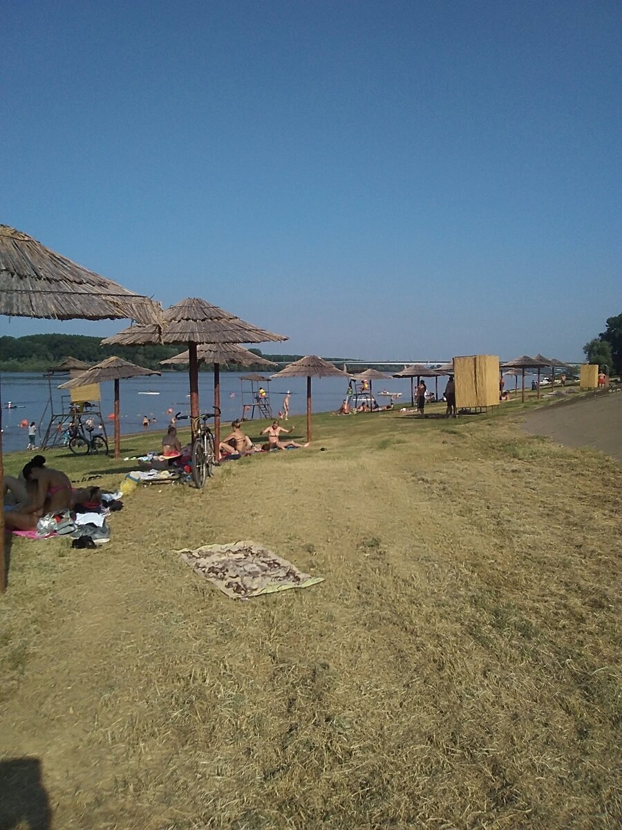 Река Сава, городской пляж. Шабац .