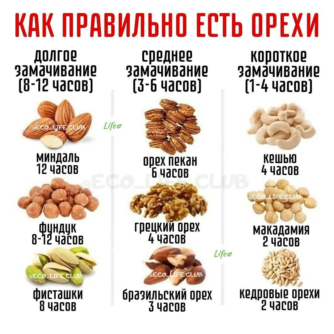 Сколько орехов можно съедать в день?