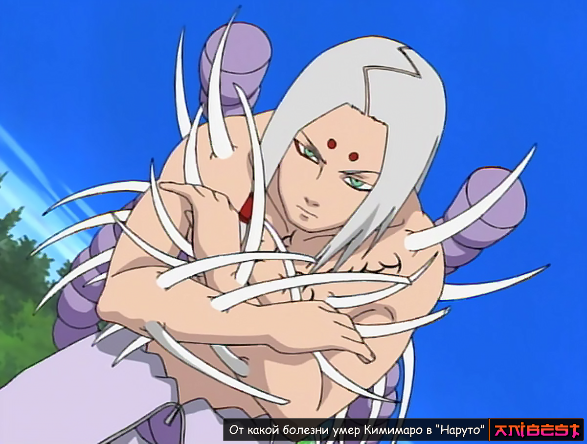 Кимимаро применяет Шикоцумьяку. Кадр из аниме Naruto. Студия: Studio Pierrot. Автор оригинала: Масаси Кисимото 