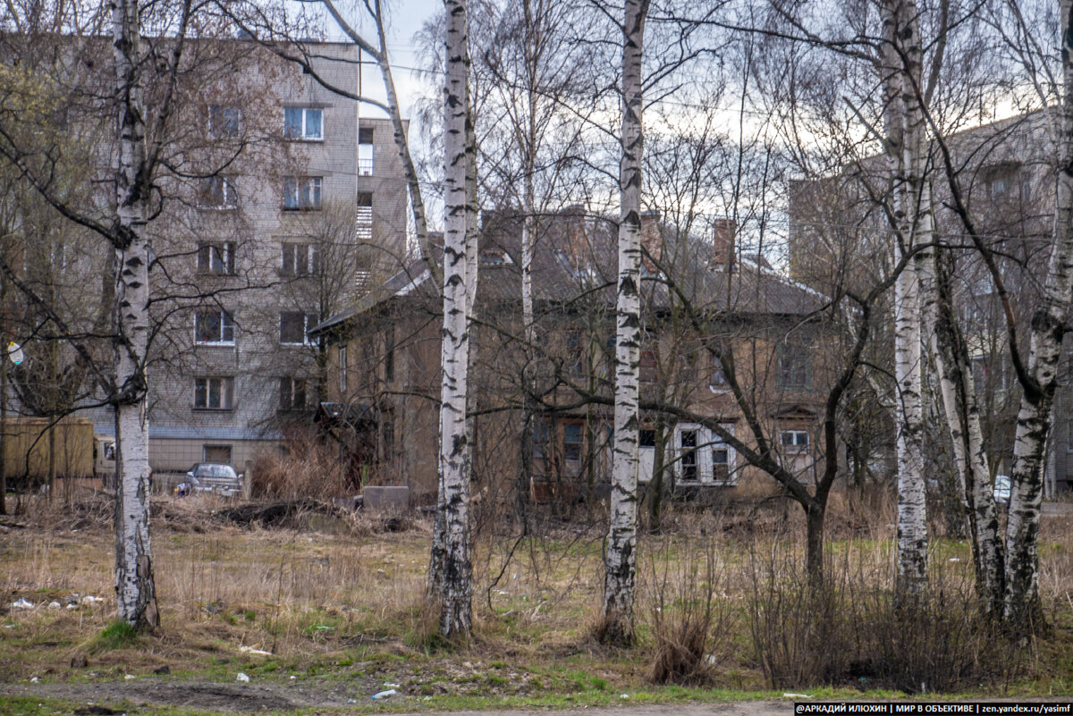 Откровенно плохой Петрозаводск | Непримиримый | Дзен