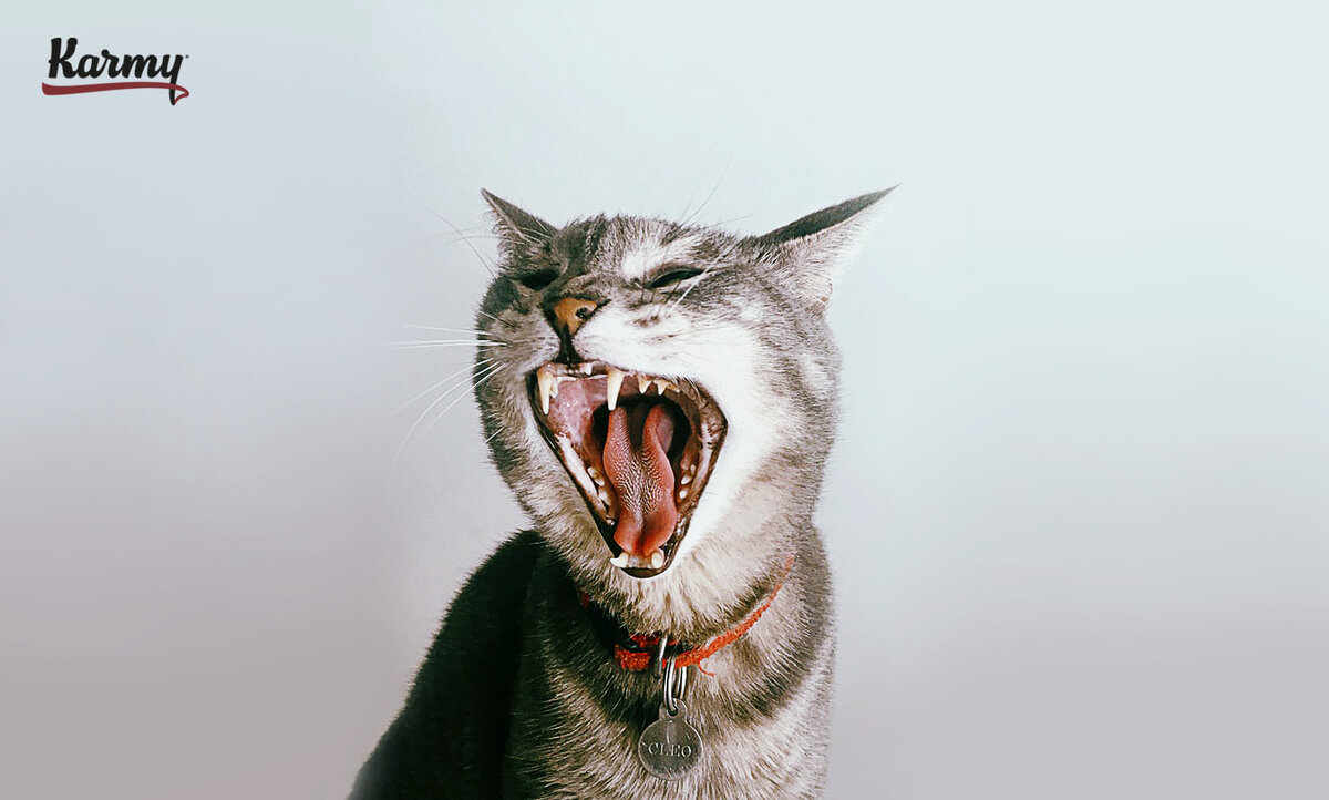 Авторское изображение с использованием картинки с фотостока "Unsplash"