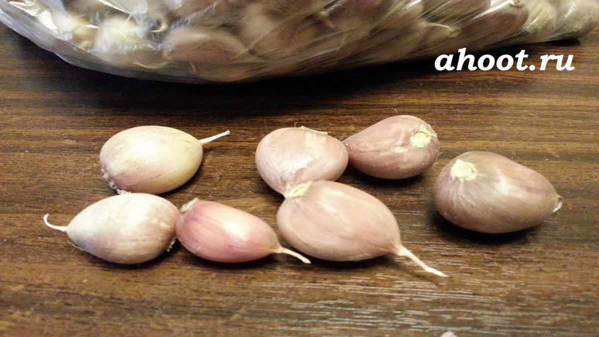 Чеснок в суп можно не добавлять если вы его не любите, остальным он добавит ноты аромата ahoot.ru