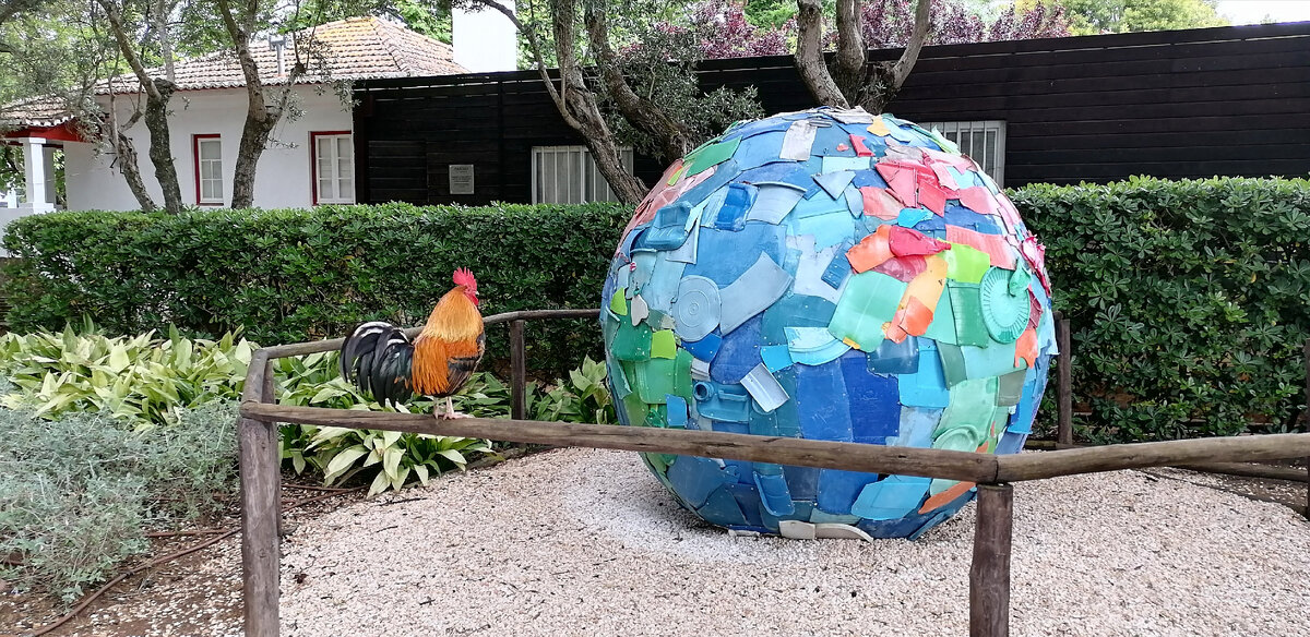 Сидит и кукарекает