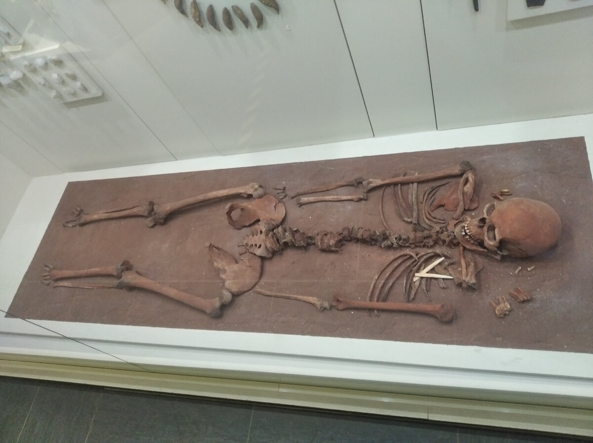 Могильник на Южном Оленьем острове Онежского озера был исследован в 1936-38 годах археологом Равдоникасом. В 177 погребениях было найдено более 7000 орудий охоты и рыболовства, украшений и предметов культа из камня, кости и рога. 