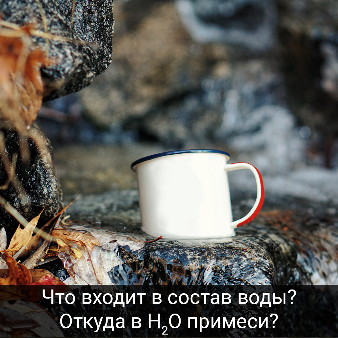 Фото с сайта Pixabay.com