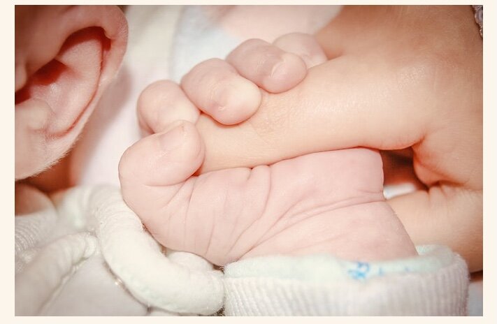 Источник: pixabay.com