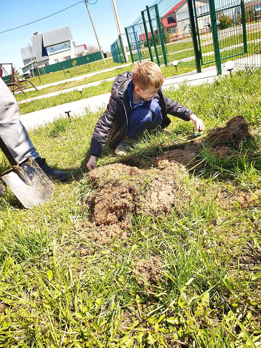 процесс создания грядки