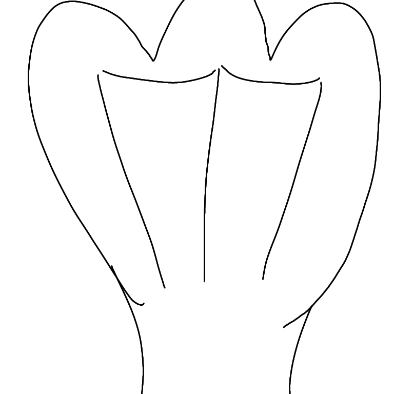 Ласта находится в сложенном виде 