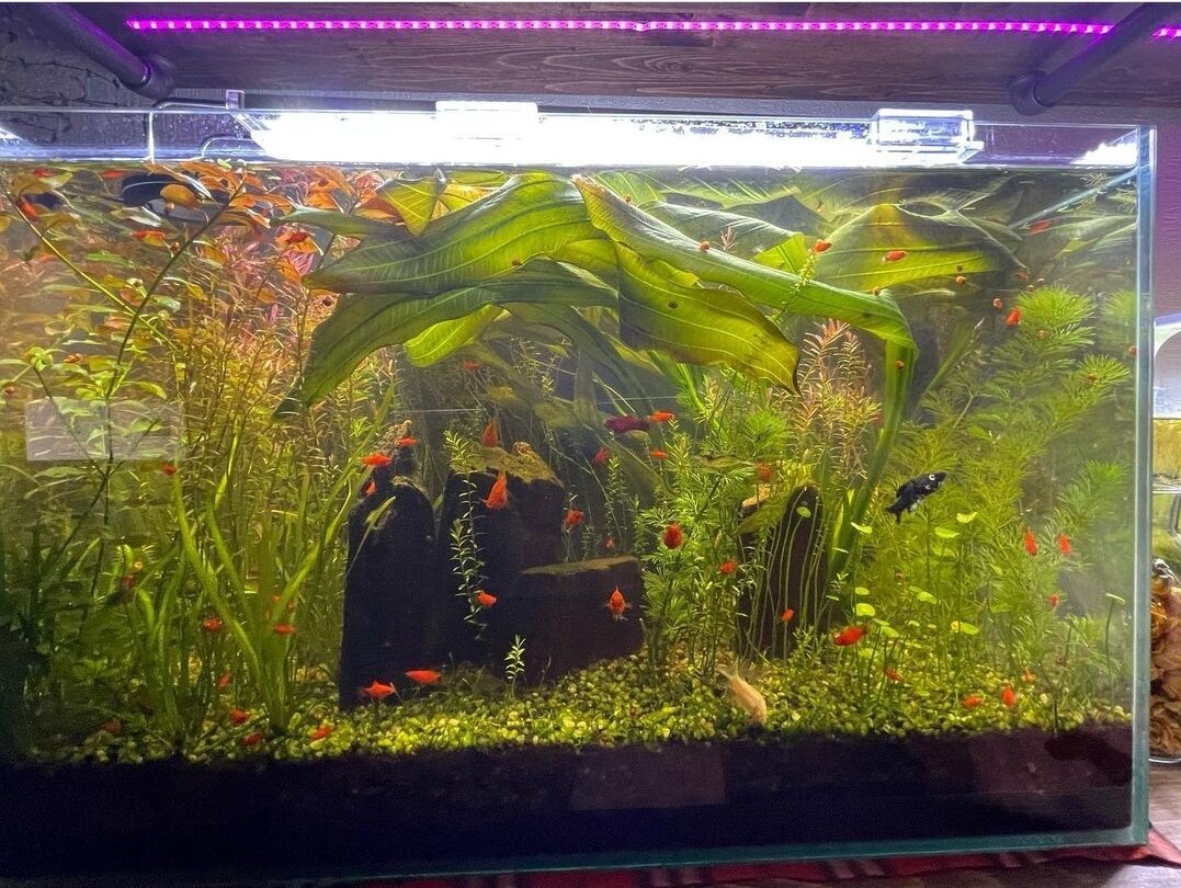 И у меня когда-то был такой