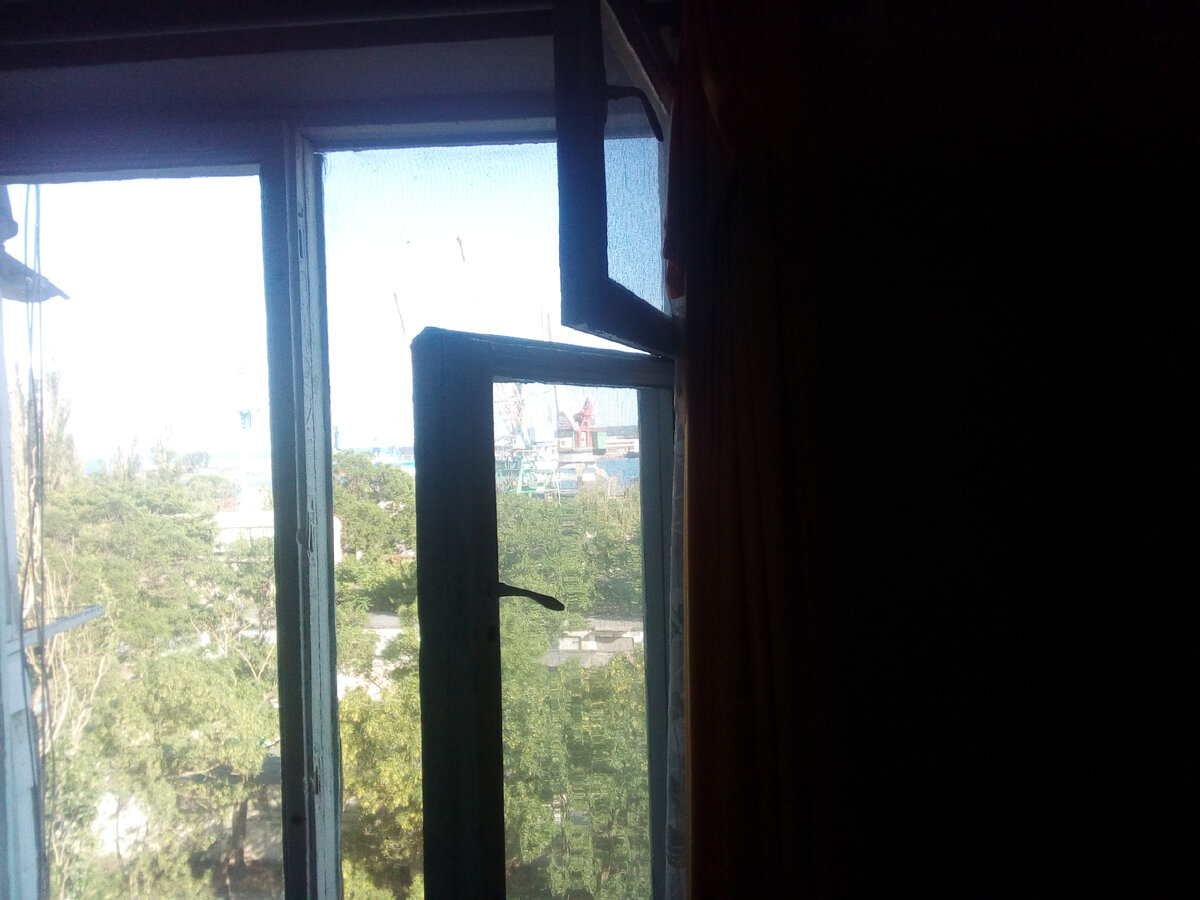 Вид из окна купленной квартиры. Фото из личного архива.