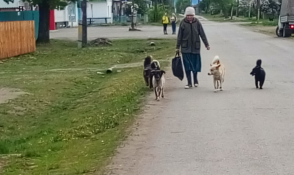 Фото автора 
