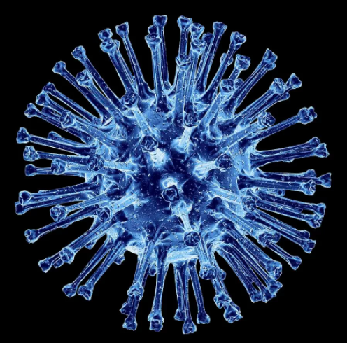 Вирус гриппа