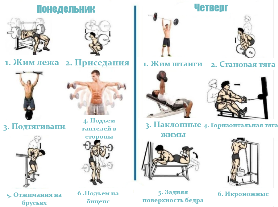 Программа тренировок в тренажерном зале фулбоди