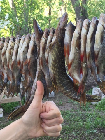 повесили сушиться