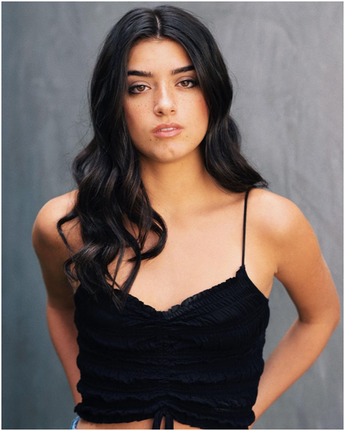 Дикси Дамелио