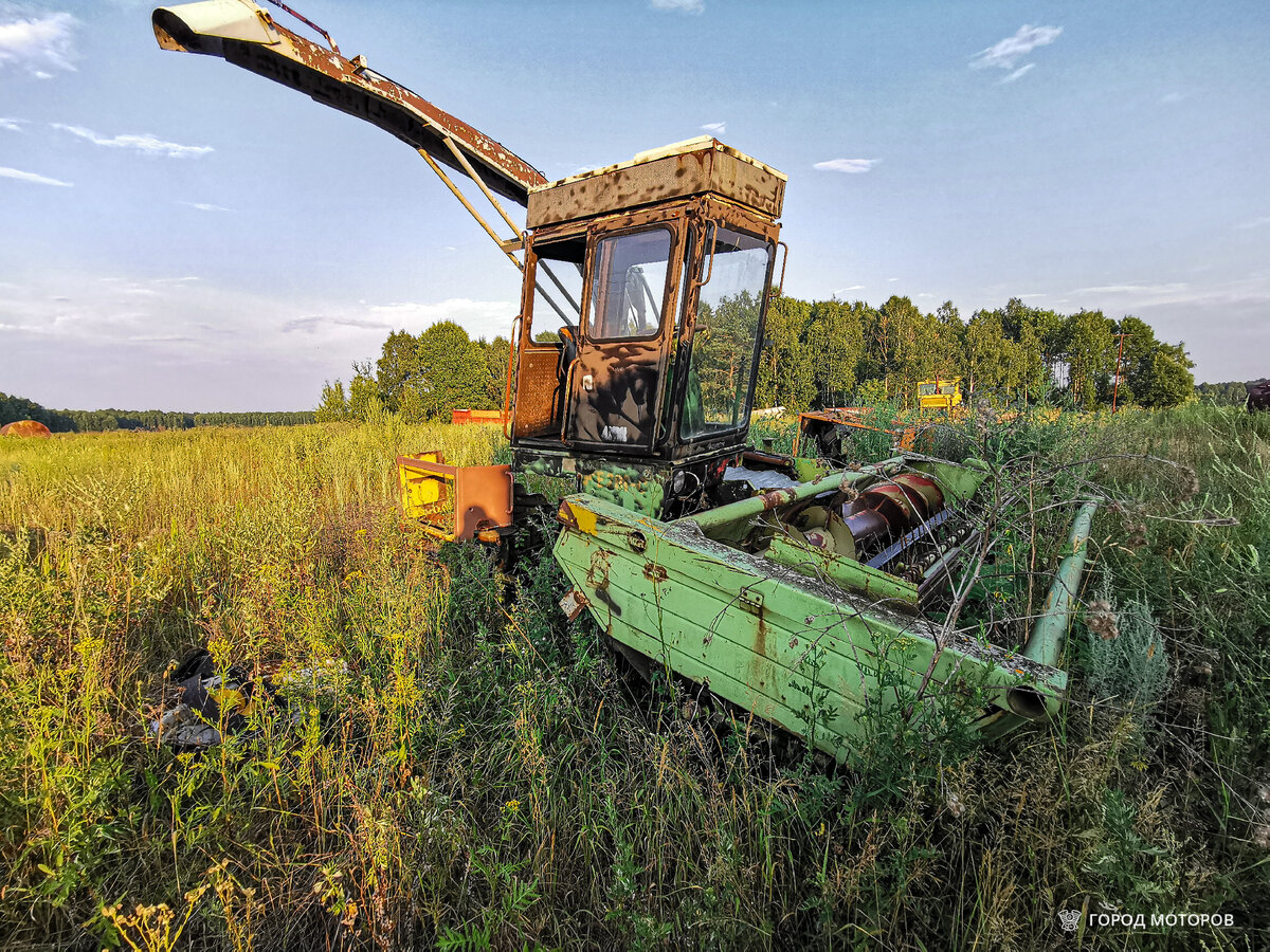 Фото автора. Город Моторов