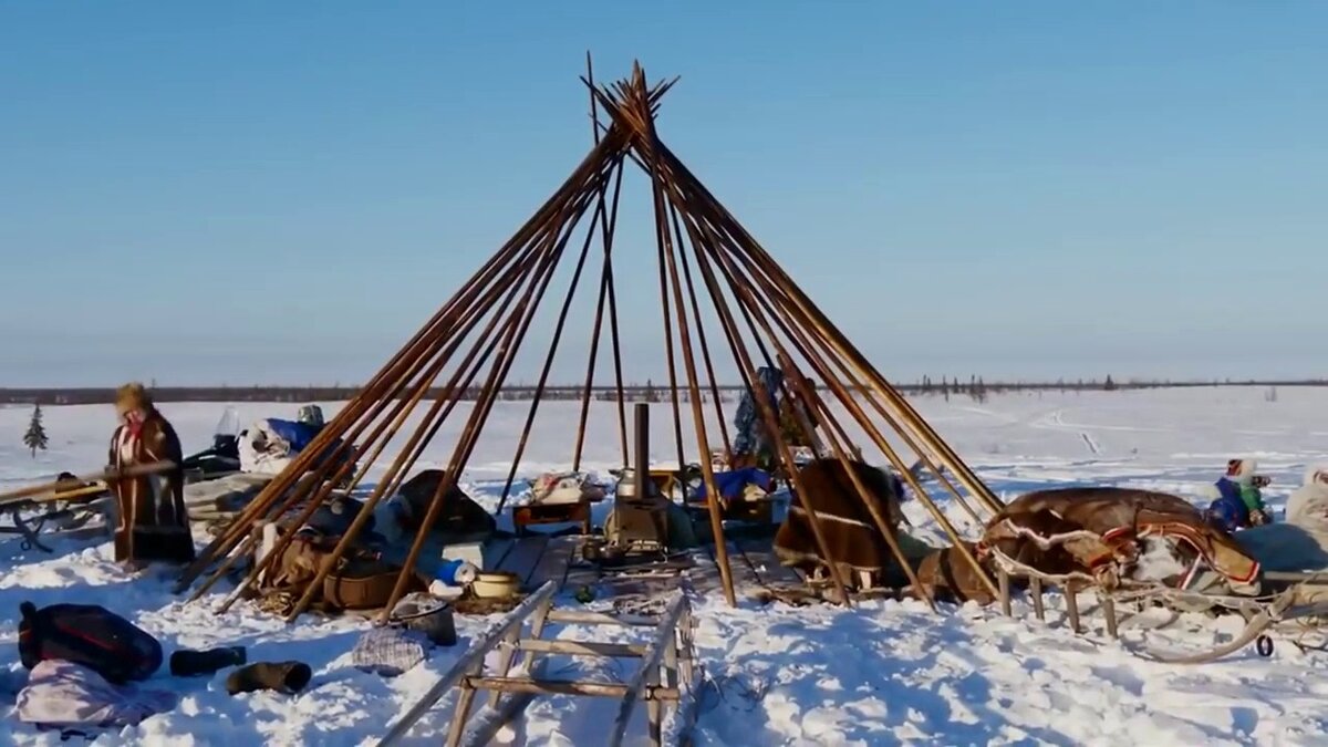 Если кто думает, что жилище оленеводов называемое чум – это груда небрежно накиданных на палки шкур, глубоко ошибается.