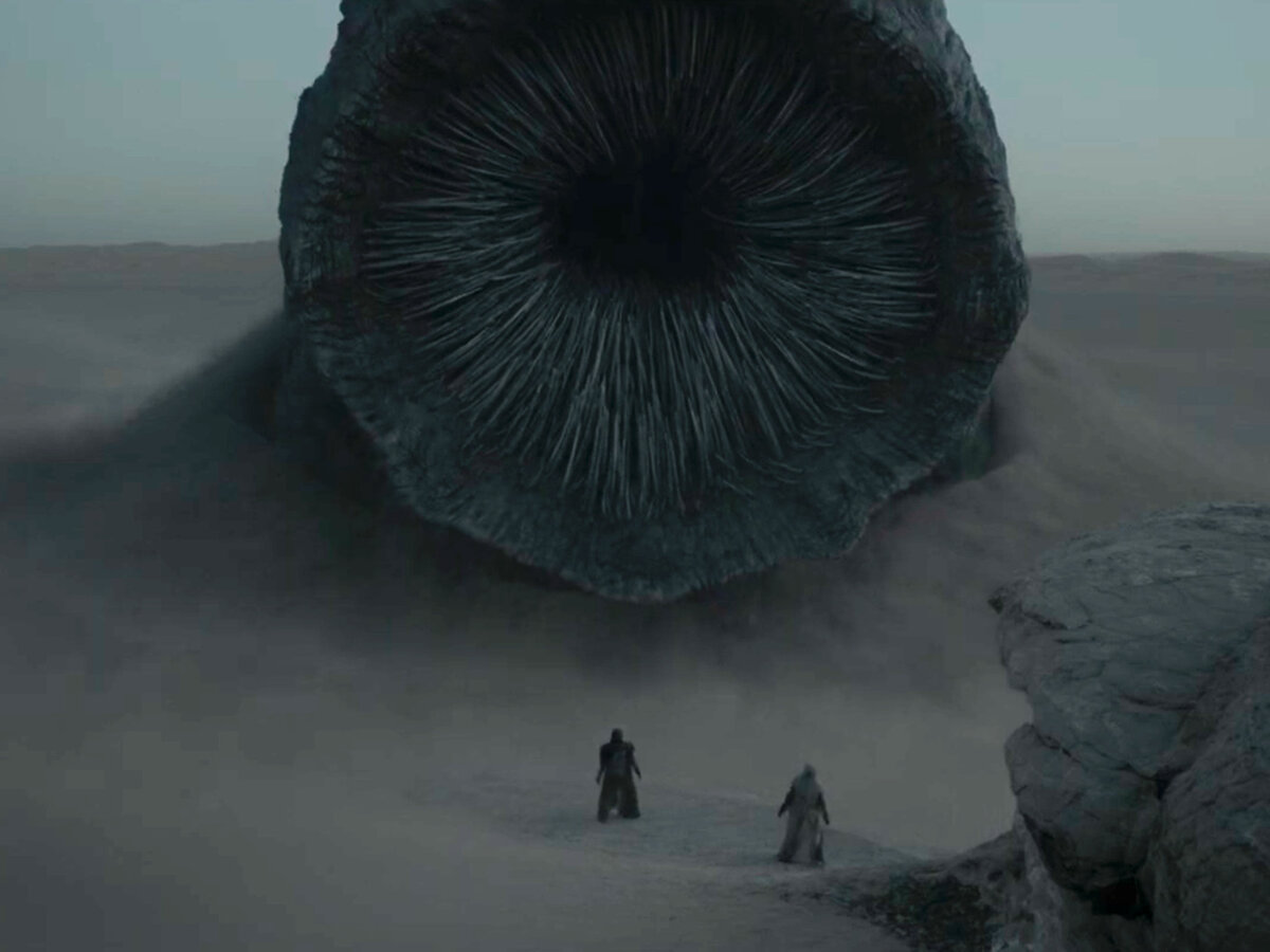 Тот самый червь