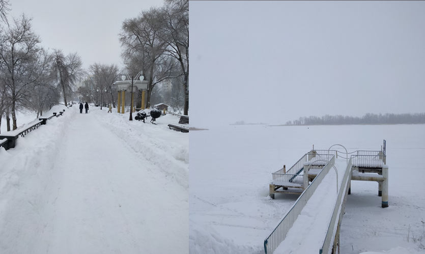 Фото Александра Козина с прогулки. Листайте дальше. 