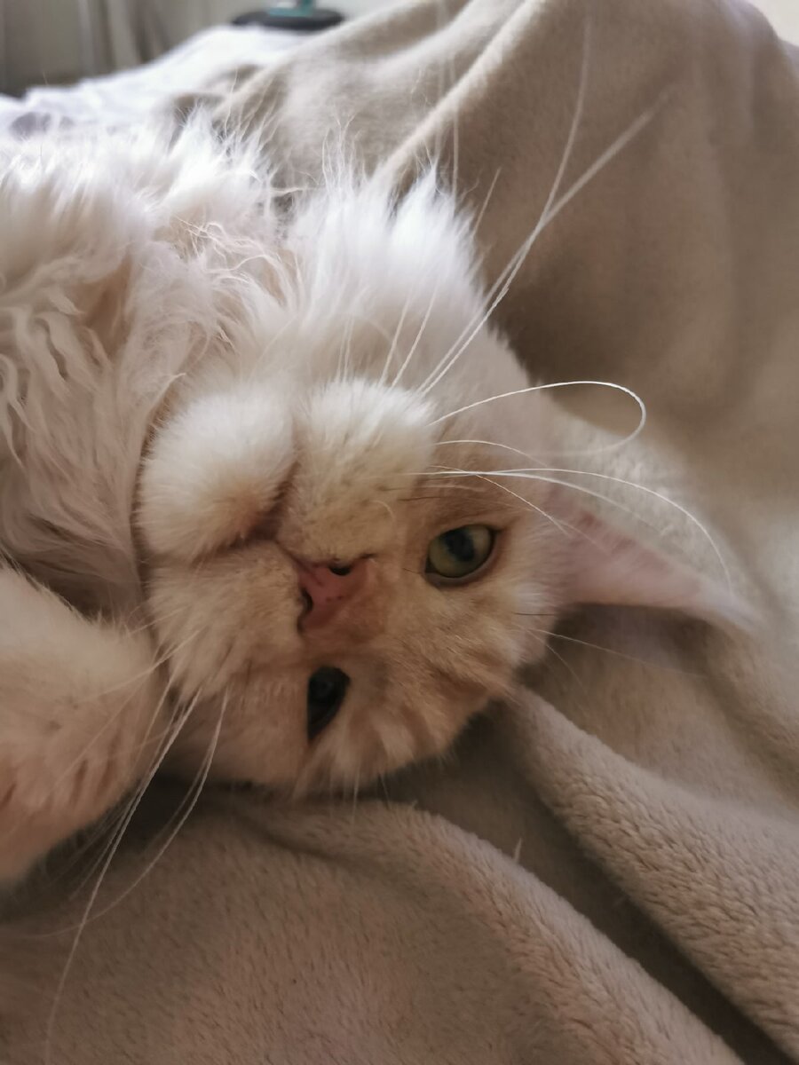 Фото из личного архива. Наш выпускник Фауст