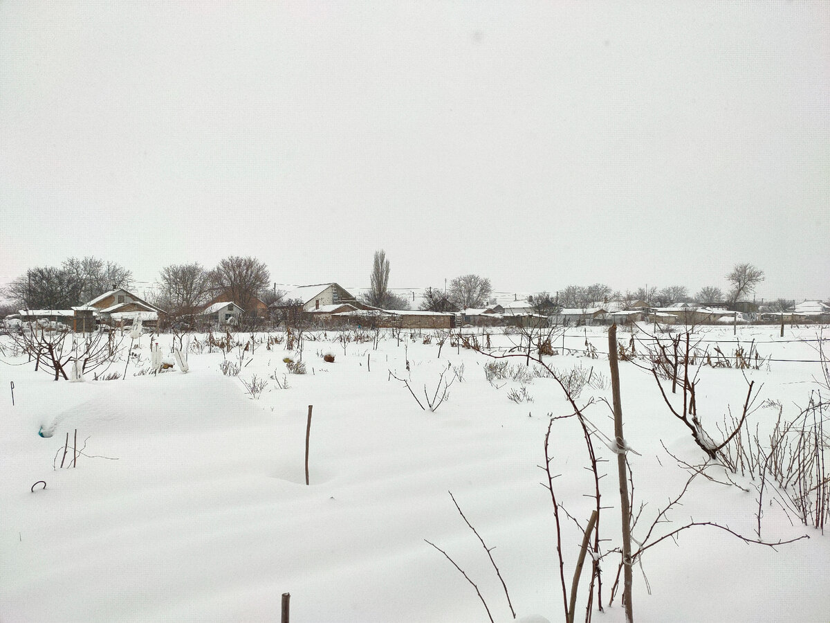 Фотография сделана автором канала