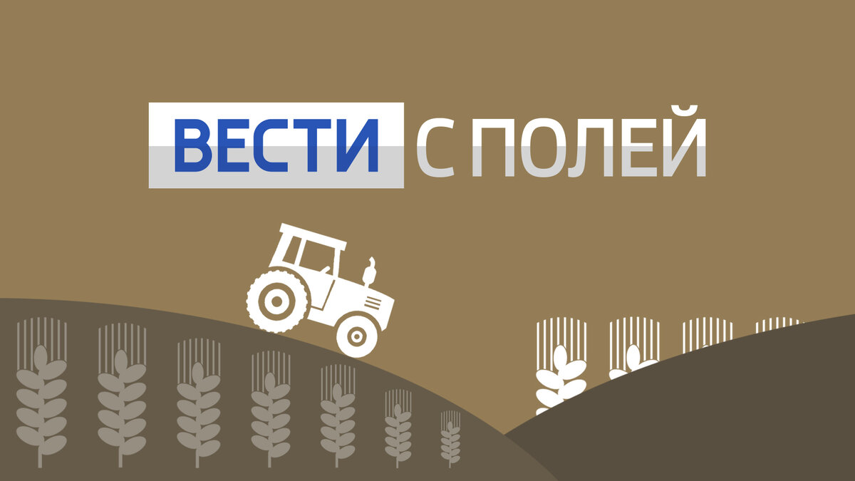 Раньше поля бороздили трактора