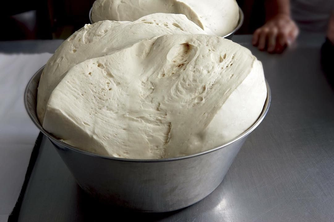 натуральная закваска льевито мадре