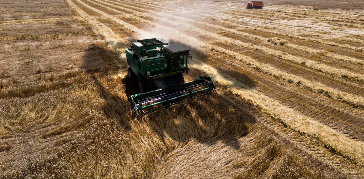 Фото: Виталий Тимкив/ТАСС. Коллаж: Александр Мамаев