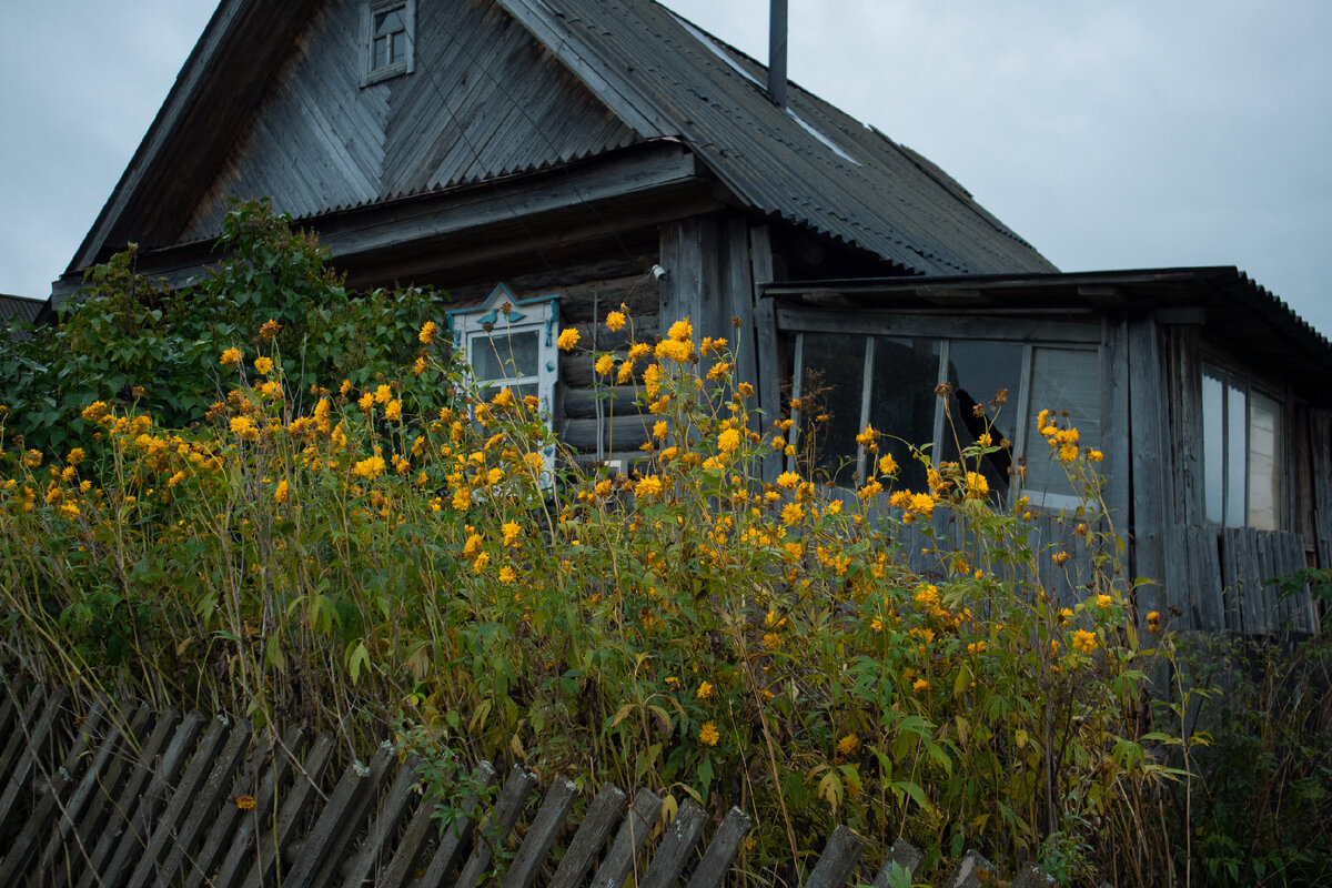 Фотография  Masha Shklyaeva: Pixels