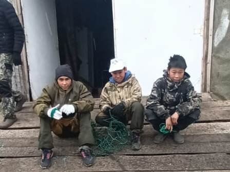 Фото: Диана СивСив 