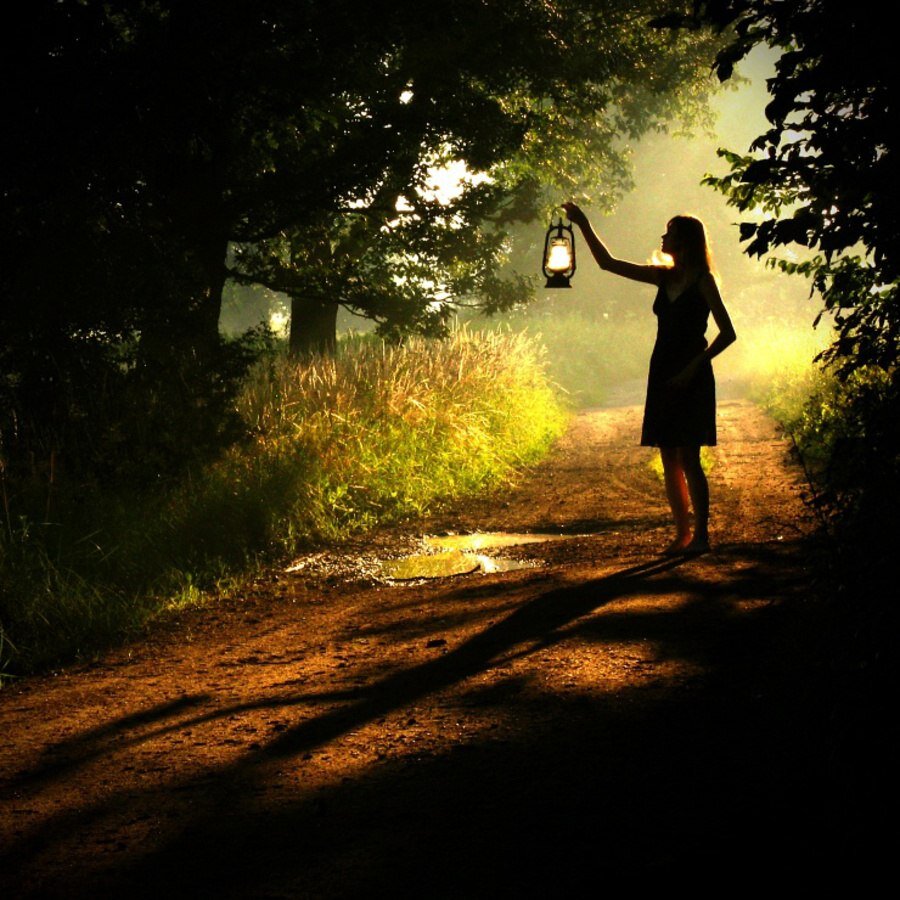 Идущий к свету не есть свет. Девушка с фонариком в лесу. Девушка идет к свету. Фонарь освещает дорогу. Человек с фонарем в лесу.