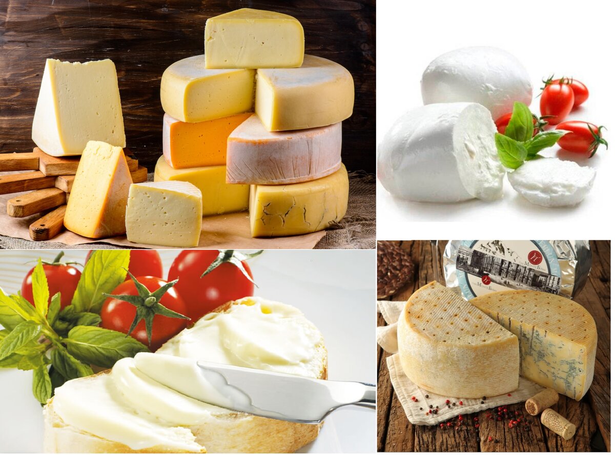 Виды сырной продукции.  Проектировщик Фирма "Аркос"
