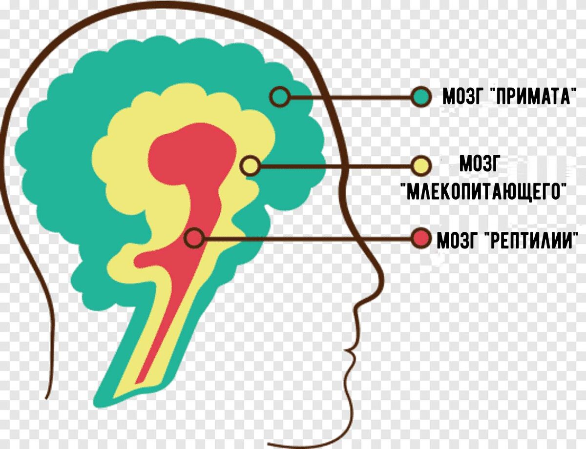 Все три слоя работают вместе