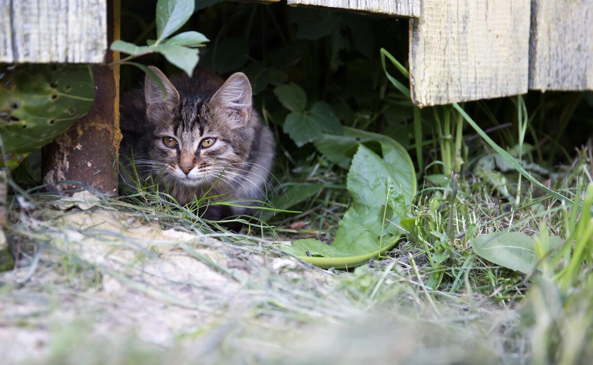    Отсутствие денег и присутствие работы. Что влияло на отпускные планы россиян этим летом