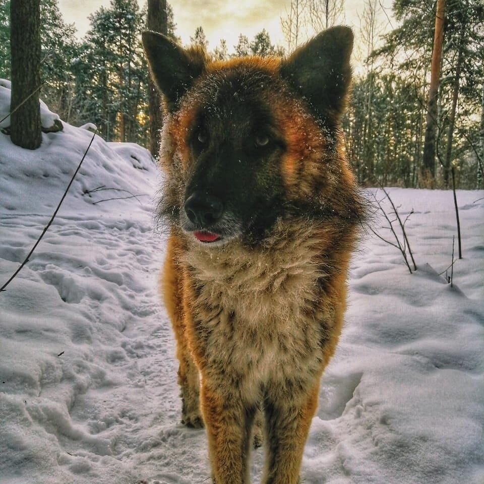 Фотография из личного архива