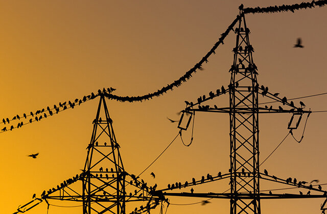     Фото: Shutterstock.com