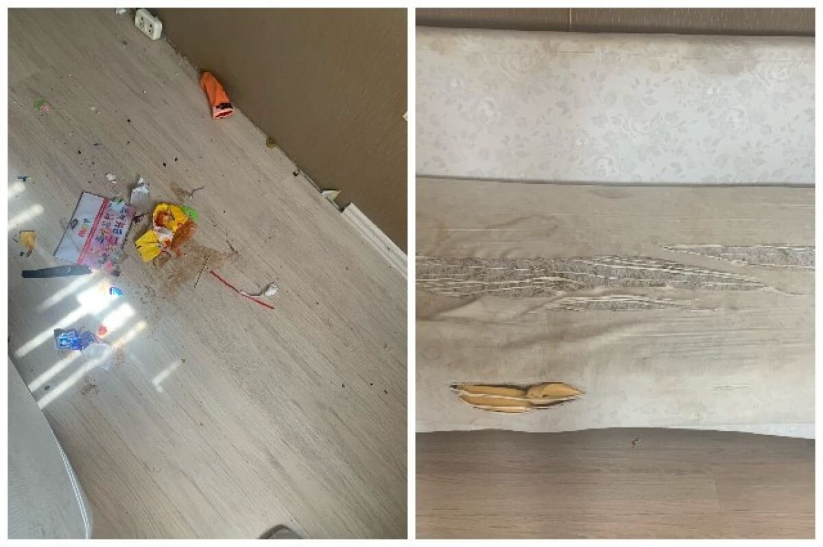    В Новосибирске хозяин квартиры пожаловался на женщину с ребенком-украинцем