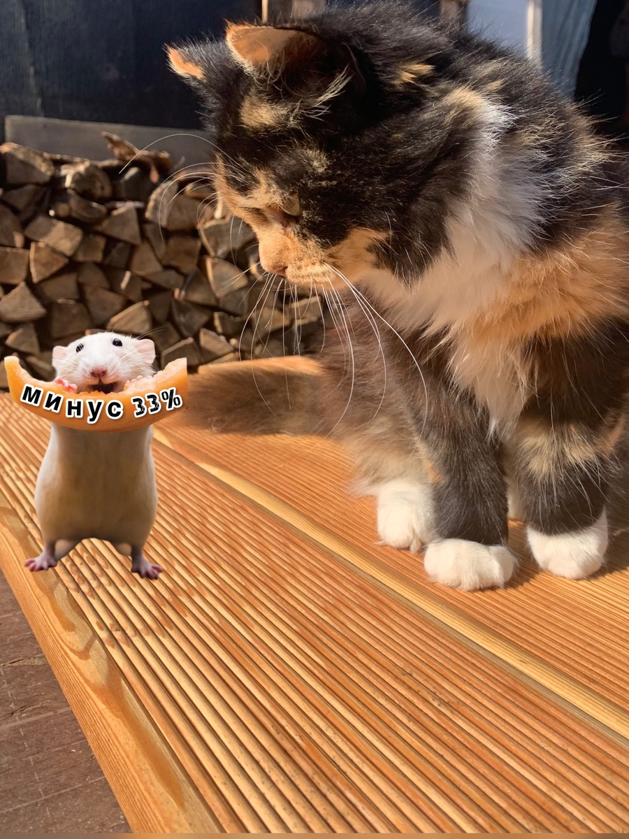 Террасная доска из лиственницы скидки до 33%